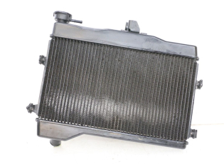 RADIATEUR
