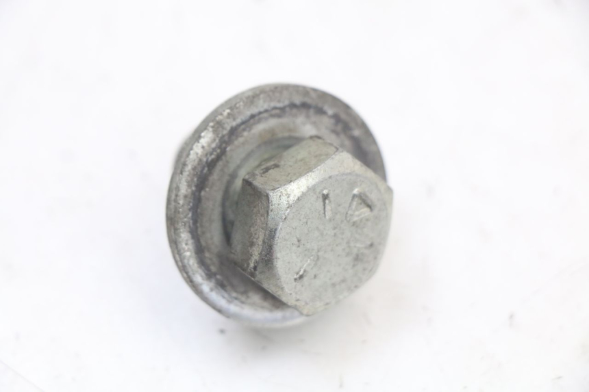 photo de PORCA DO TÊ DA FORQUILHA HARLEY DAVIDSON SPORTSTER XL CUSTOM 883 (1999 - 2006) - Zoom do estado de desgaste