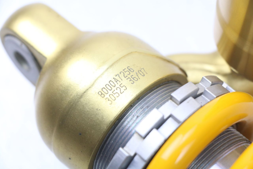 photo de AMORTECEDOR TRASEIRO MV AGUSTA BRUTALE R WALLY 910 (2008 - 2008) - Zoom do estado de desgaste