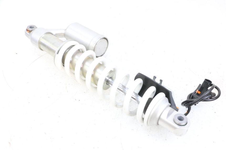 photo de AMORTECEDOR DIANTEIRO BMW R GS 1250 (2021 - 2024) - Vista principal