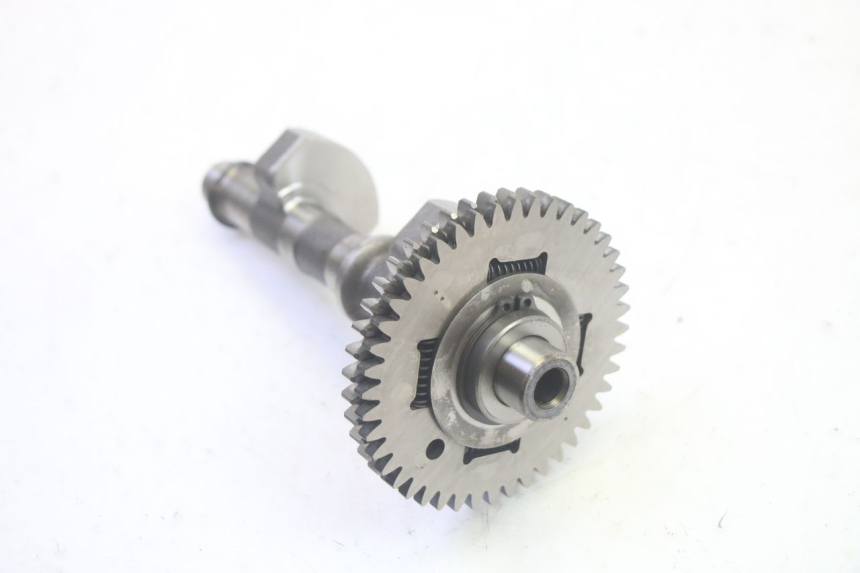 photo de BALANCIADOR DO MOTOR SUZUKI BURGMAN EXECUTIVE ABS 650 (2006 - 2012) - Vista geral