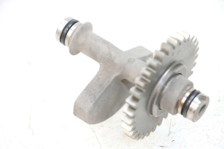 photo de BALANÇA DO MOTOR SHERCO CITY CORP 125 (2003 - 2007) - Vista principal