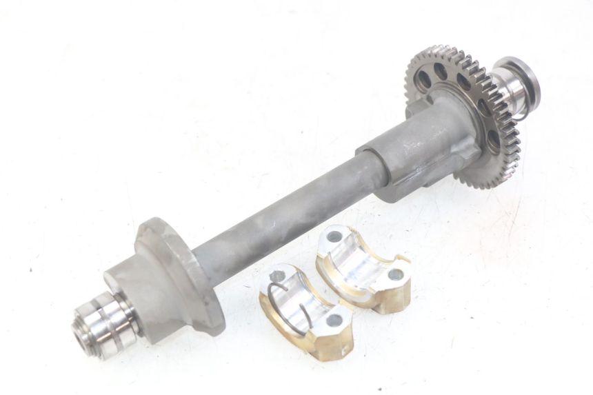 photo de BALANCIADOR DO MOTOR TRIUMPH SPRINT ST 955 (1999 - 2001) - Estado da superfície
