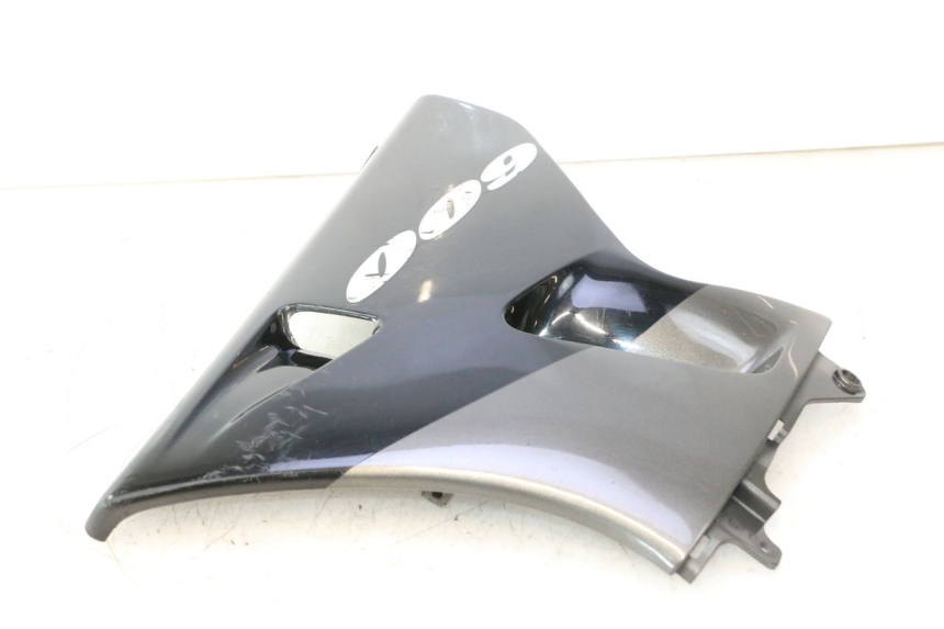 photo de LATERAL DIREITO KAWASAKI ZZR 600 (1995 - 2004) - Vista geral