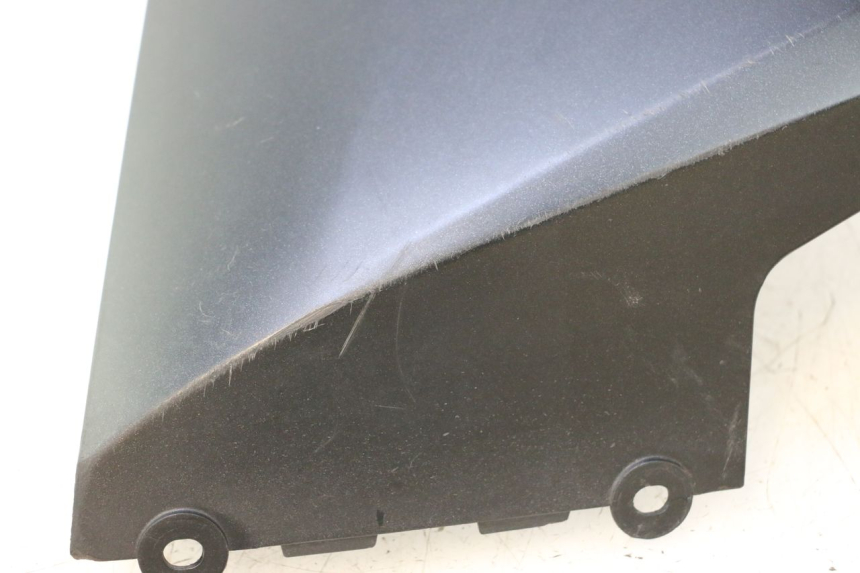 photo de SOLEIRA ESQUERDA KAWASAKI ER-6 ER6 F ABS 650 (2012 - 2016) - Detalhes característicos