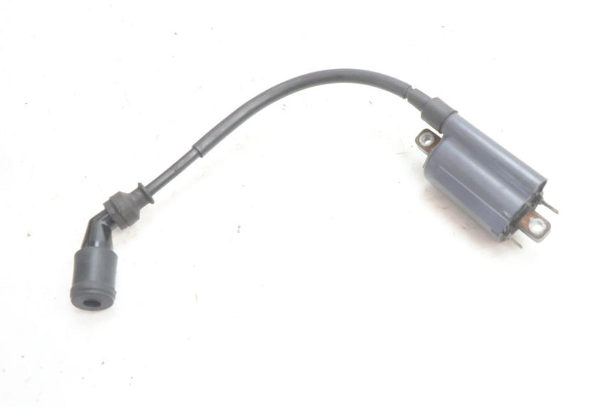 photo de BOBINA SUZUKI BURGMAN 125 (2007 - 2014) - Vista geral