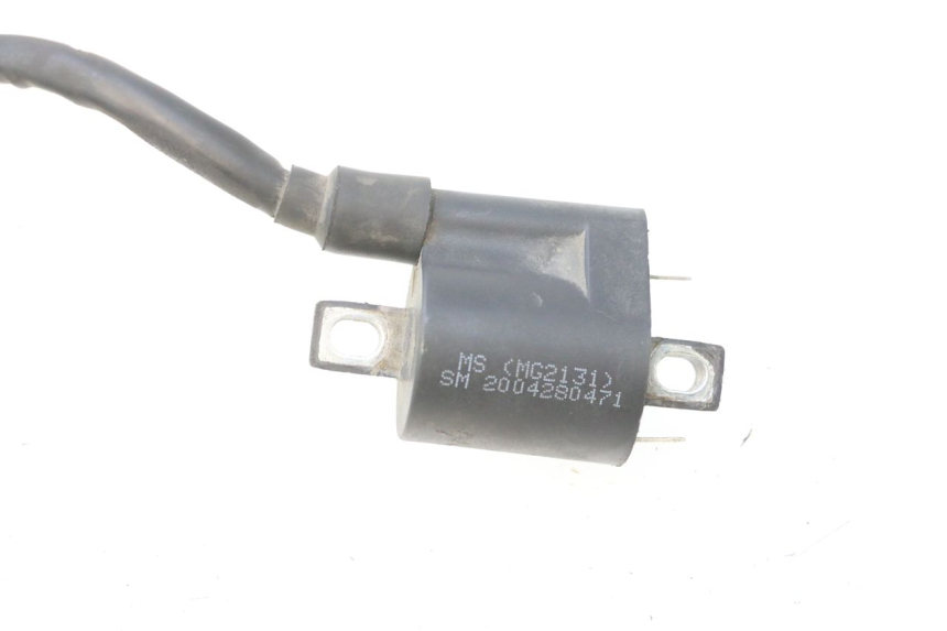 photo de BOBINA JM MOTORS F45i 4T 50 (2020 - 2023) - Vista geral