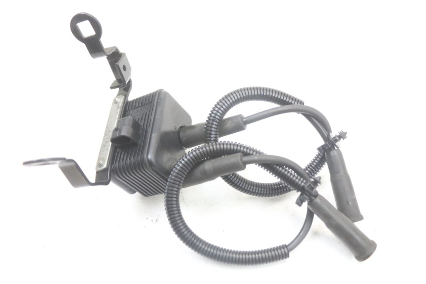 photo de BOBINA HARLEY DAVIDSON SPORTSTER XL CUSTOM 883 (1999 - 2006) - Peça verificada