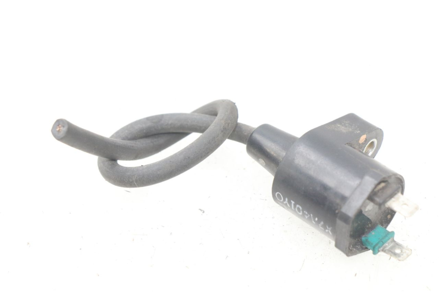 photo de BOBINA PEUGEOT LUDIX 50 (2008 - 2017) - Zoom do estado de desgaste