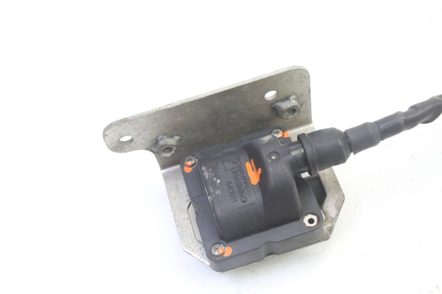 photo de BOBINA PIAGGIO MP3 RL 250 (2006 - 2010) - Detalhe da peça