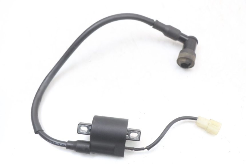photo de BOBINA TNT MOTOR ROMA 10' 2T 50 (2011 - 2018) - Detalhe da peça