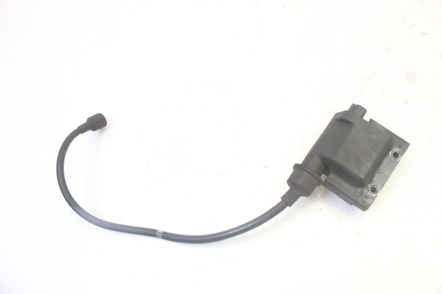 photo de BOBINA PEUGEOT SATELIS 125 (2006 - 2009) - Vista principal