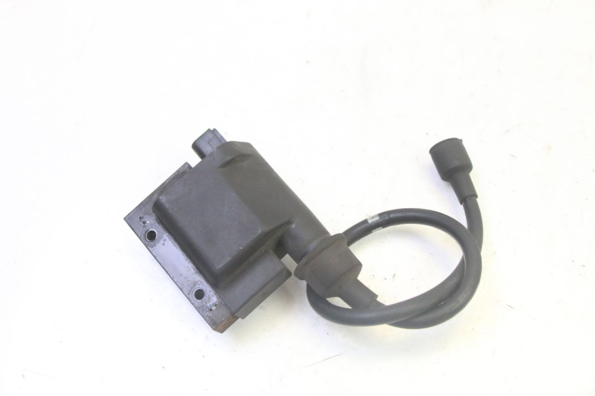 photo de BOBINA PEUGEOT SATELIS 125 (2006 - 2009) - Vista geral