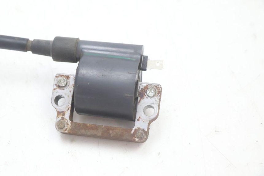 photo de BOBINA HONDA SCV LEAD 100 (2003 - 2007) - Zoom do estado de desgaste