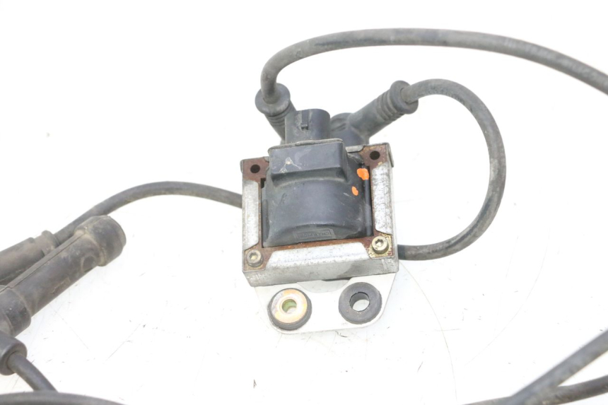 photo de BOBINA DUCATI SS IE DS CARENEE 1000 (2002 - 2006) - Vista geral