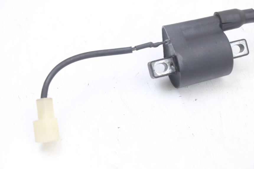 photo de BOBINA TNT MOTOR ROMA 10' 2T 50 (2011 - 2018) - Detalhe da peça