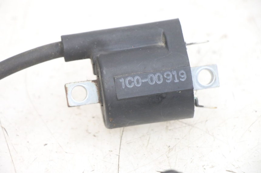 photo de BOBINA YAMAHA X-MAX XMAX 250 (2006 - 2009) - Zoom do estado de desgaste