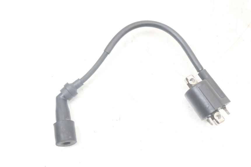 photo de BOBINA YAMAHA XMAX X-MAX 125 (2006 - 2009) - Detalhe da peça