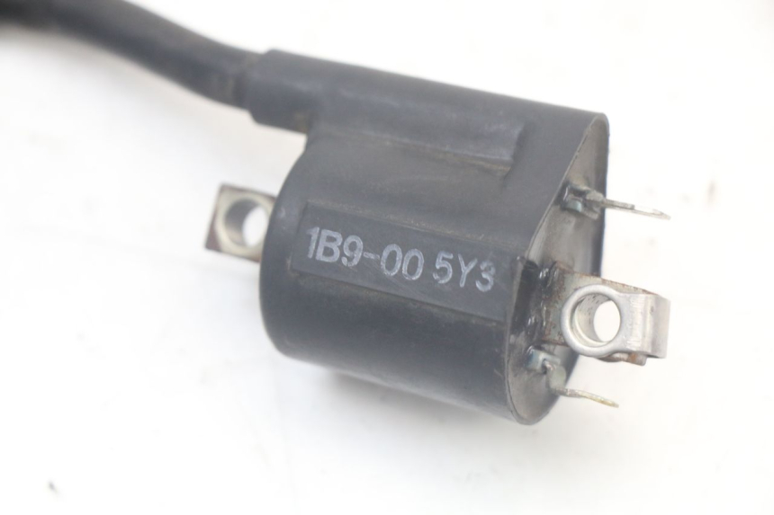 photo de BOBINA YAMAHA XMAX X-MAX 125 (2006 - 2009) - Zoom do estado de desgaste