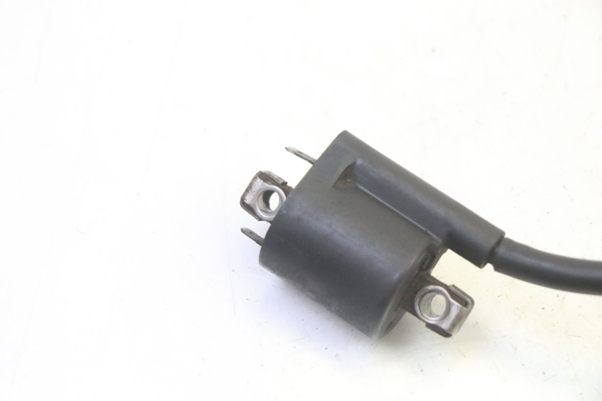 photo de BOBINA YAMAHA X-MAX XMAX 125 (2010 - 2013) - Detalhe da peça