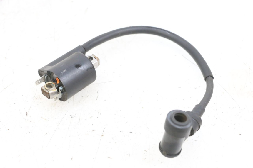 photo de BOBINA YAMAHA XMAX X-MAX 125 (2006 - 2009) - Detalhe da peça