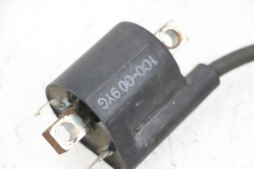 photo de BOBINA YAMAHA X-MAX XMAX 125 (2010 - 2013) - Zoom do estado de desgaste