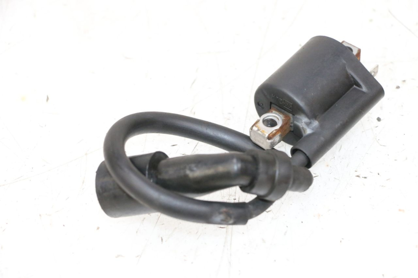 photo de BOBINA YAMAHA XMAX X-MAX 125 (2006 - 2009) - Detalhe da peça