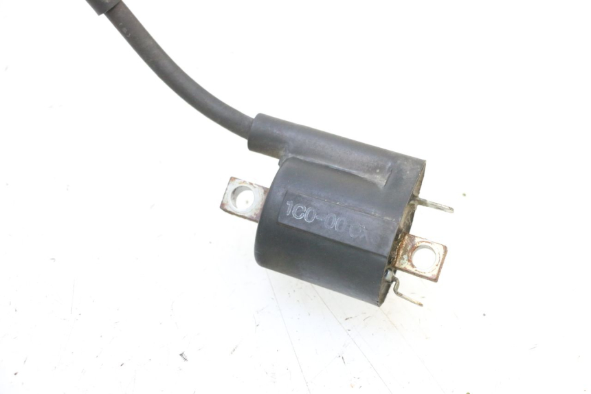 photo de BOBINA YAMAHA X-MAX XMAX 125 (2010 - 2013) - Zoom do estado de desgaste