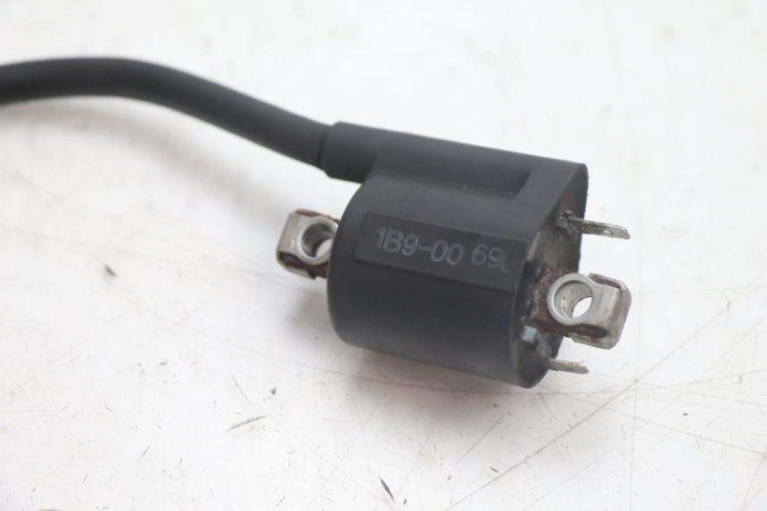 photo de BOBINA YAMAHA XMAX X-MAX 125 (2006 - 2009) - Zoom do estado de desgaste