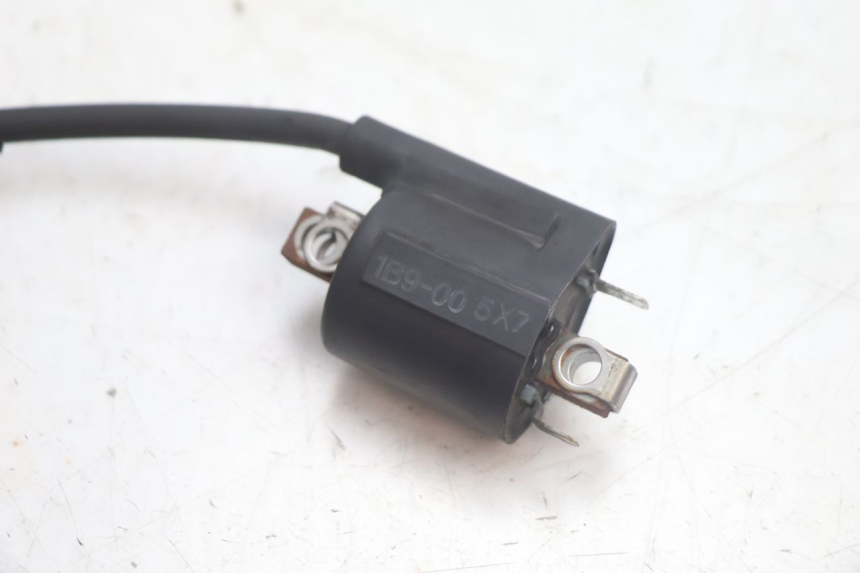 photo de BOBINA YAMAHA XMAX X-MAX 125 (2006 - 2009) - Zoom do estado de desgaste