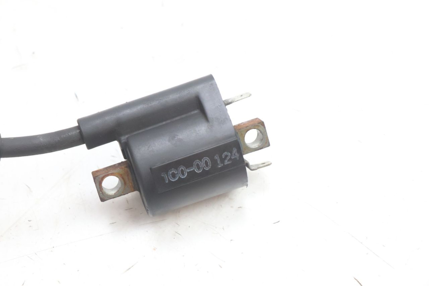 photo de BOBINA YAMAHA X-MAX XMAX 125 (2010 - 2013) - Zoom do estado de desgaste