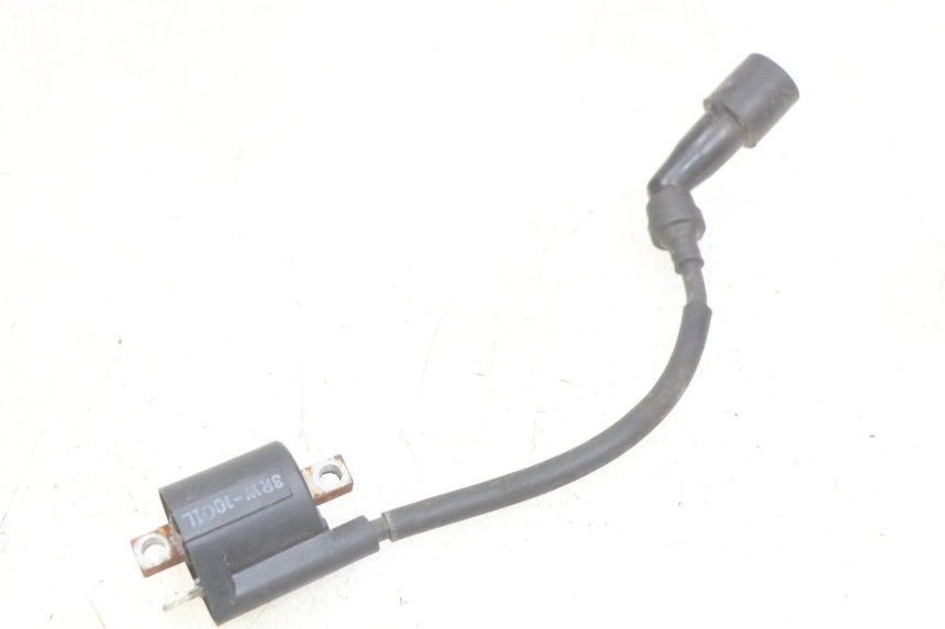 photo de BOBINA YAMAHA YP MAJESTY 125 (1998 - 2001) - Zoom do estado de desgaste