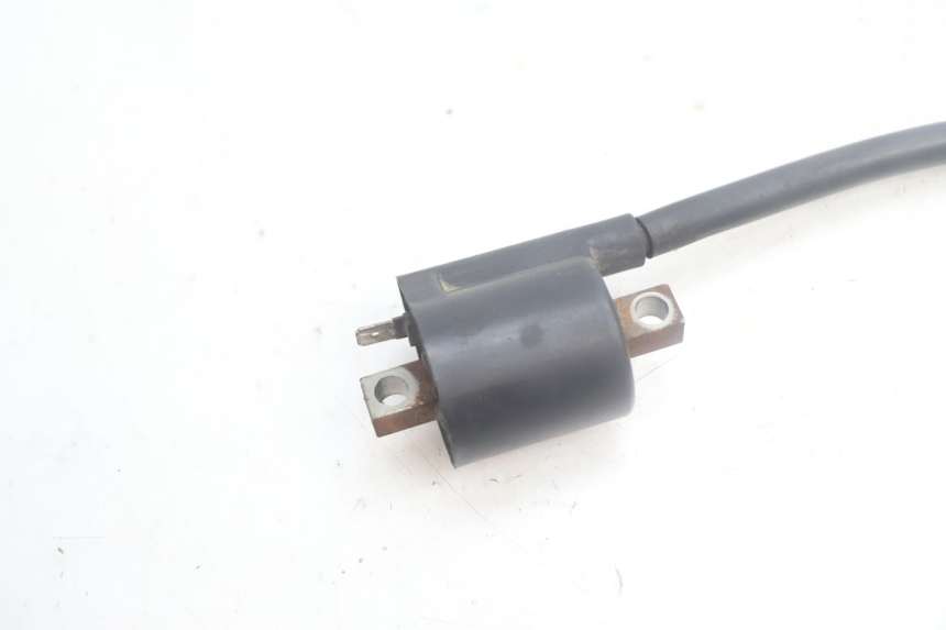 photo de BOBINA YAMAHA YP MAJESTY 125 (2002 - 2006) - Detalhe da peça