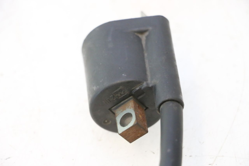photo de BOBINA YAMAHA YP MAJESTY 125 (1998 - 2001) - Zoom do estado de desgaste