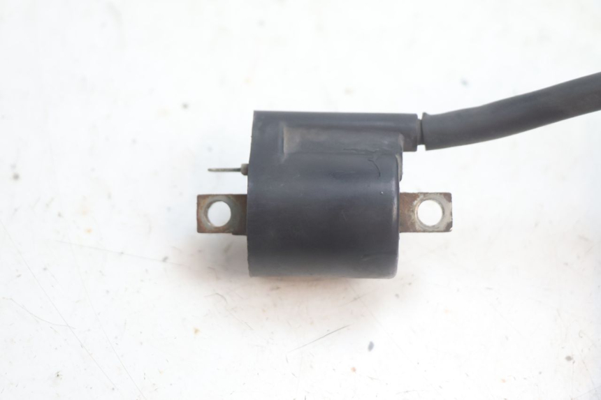 photo de BOBINA YAMAHA YP MAJESTY 125 (2002 - 2006) - Detalhe da peça