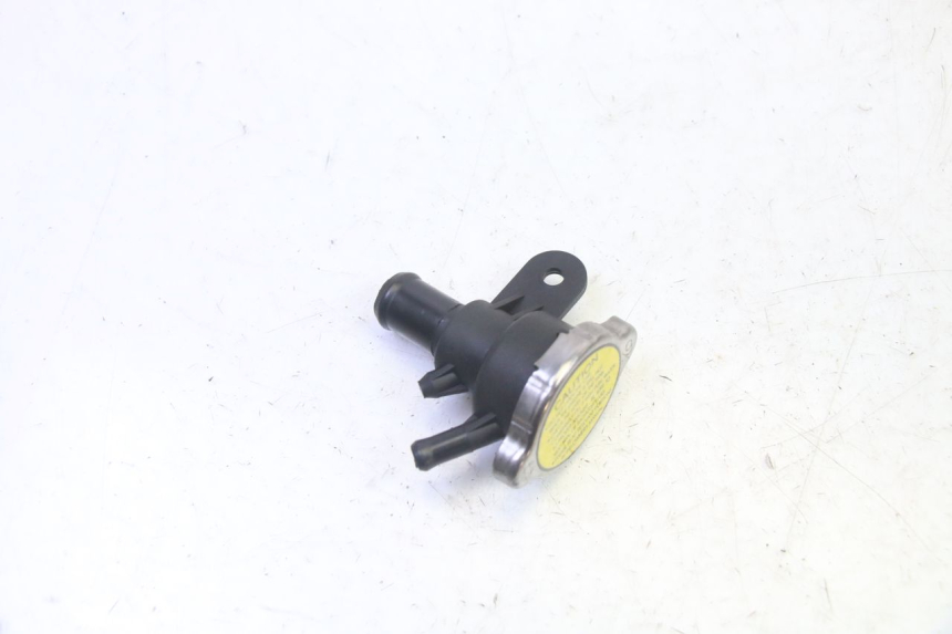 photo de TAMPA DO RADIADOR QUADRO 4 4D 350 (2015 - 2018) - Zoom do estado de desgaste