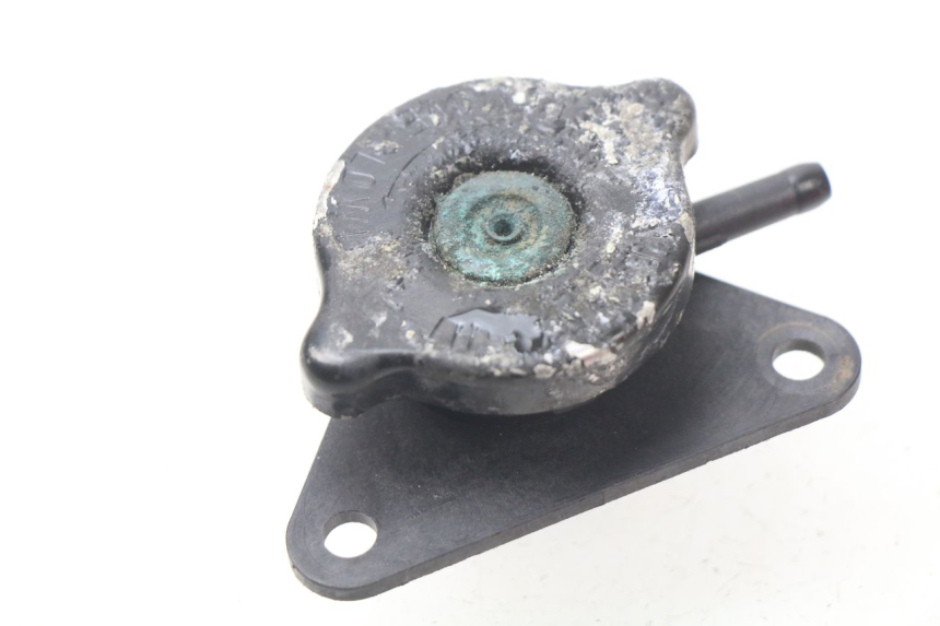 photo de TAMPA DO RADIADOR SUZUKI BURGMAN 125 (2007 - 2014) - Detalhe da peça