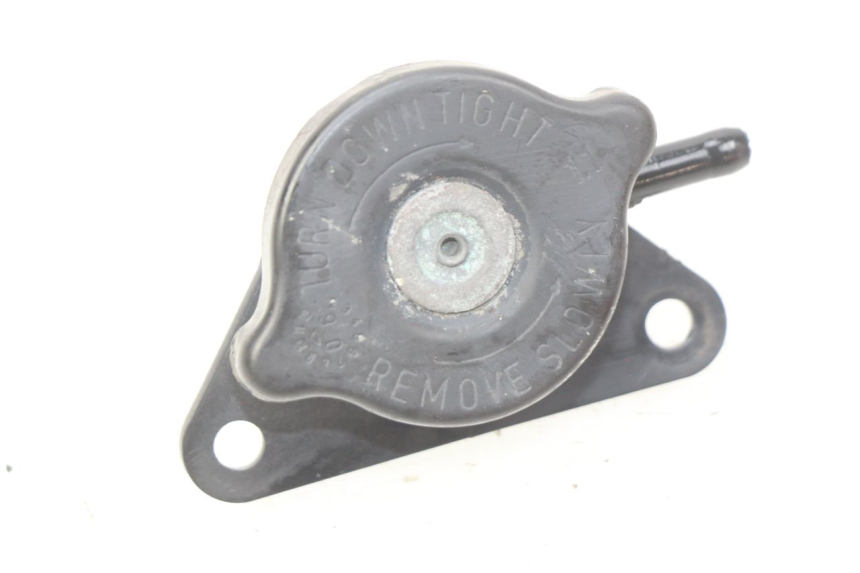 photo de TAMPA DO RADIADOR SUZUKI BURGMAN 125 (2007 - 2014) - Detalhe da peça