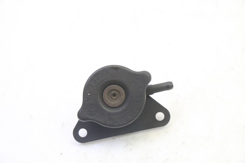 photo de TAMPA DO RADIADOR SUZUKI BURGMAN 125 (2007 - 2014) - Ampliação técnica
