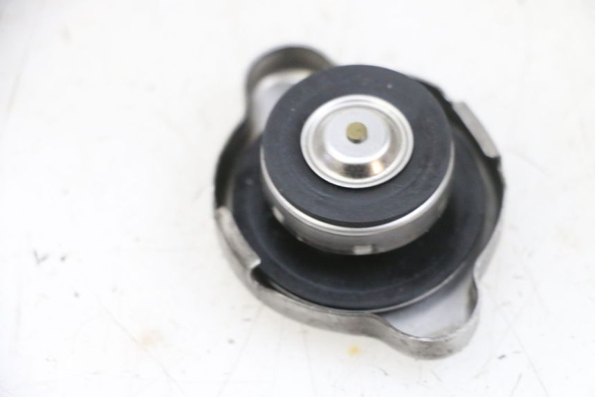 photo de TAMPA DO RADIADOR SUZUKI BURGMAN 650 (2013 - 2020) - Detalhe da peça