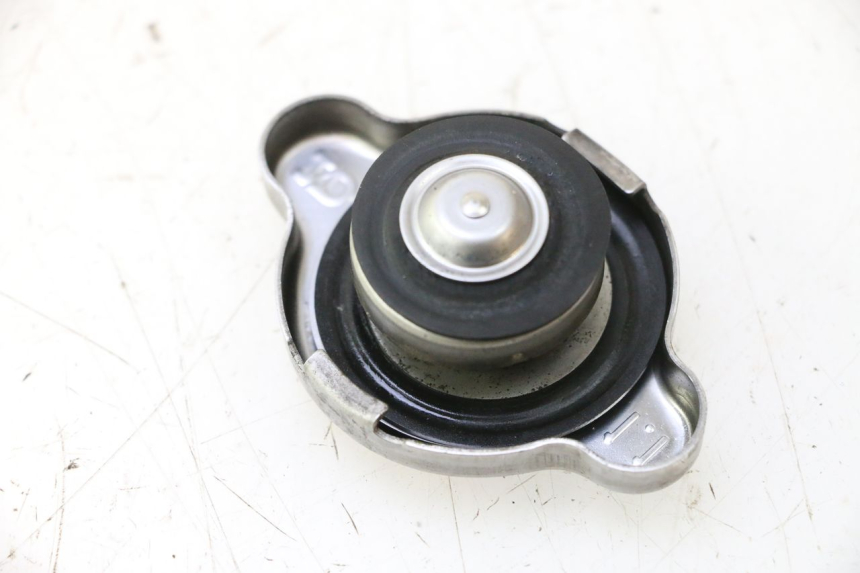 photo de TAMPA DO RADIADOR SUZUKI BURGMAN EXECUTIVE ABS 650 (2006 - 2012) - Vista principal