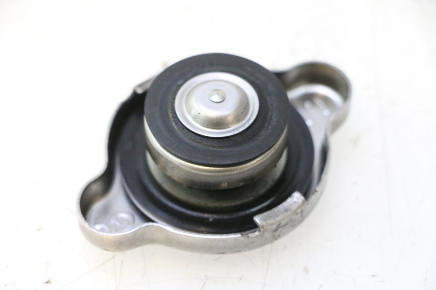 photo de TAMPA DO RADIADOR SUZUKI BURGMAN EXECUTIVE ABS 650 (2006 - 2012) - Detalhe da peça