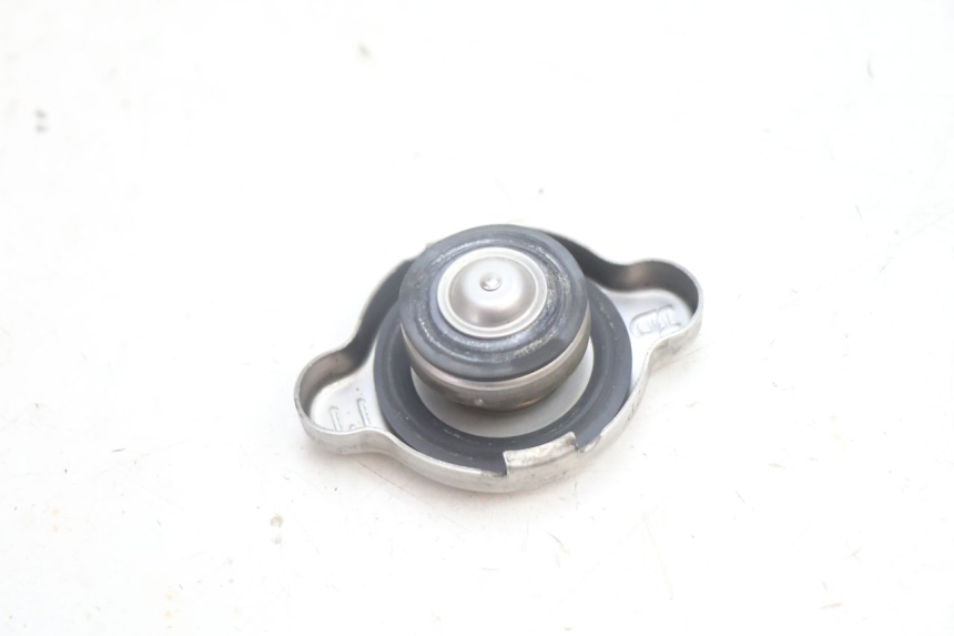 photo de TAMPA DO RADIADOR SUZUKI BURGMAN EXECUTIVE ABS 650 (2006 - 2012) - Zoom do estado de desgaste