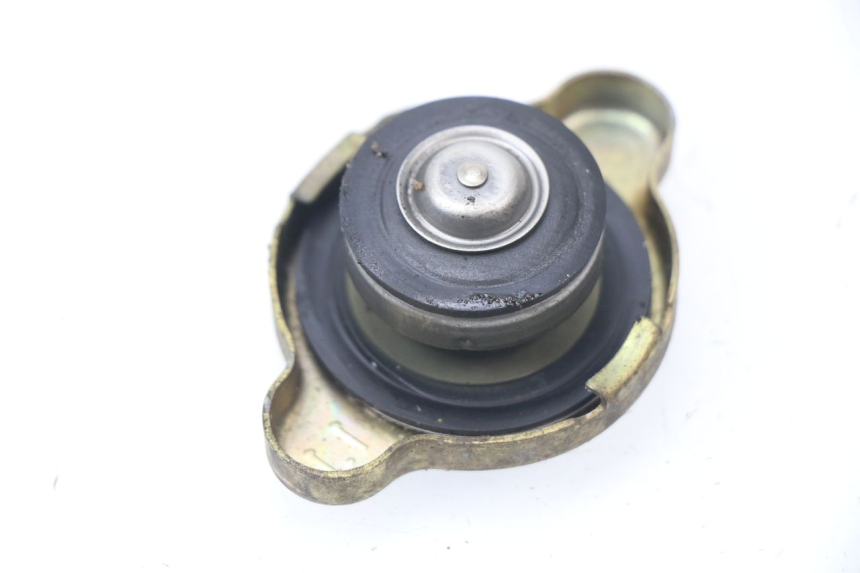 photo de TAMPA DO RADIADOR HONDA CBR 929 RR FIREBLADE 900 (2000 - 2001) - Detalhe da peça