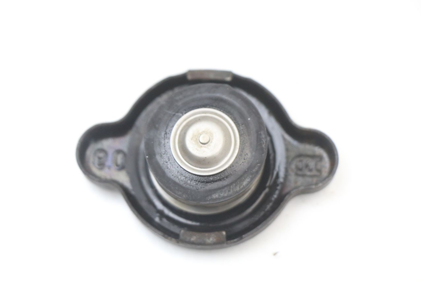photo de TAMPA DO RADIADOR YAMAHA DTLC 125 (1982 - 1987) - Zoom do estado de desgaste