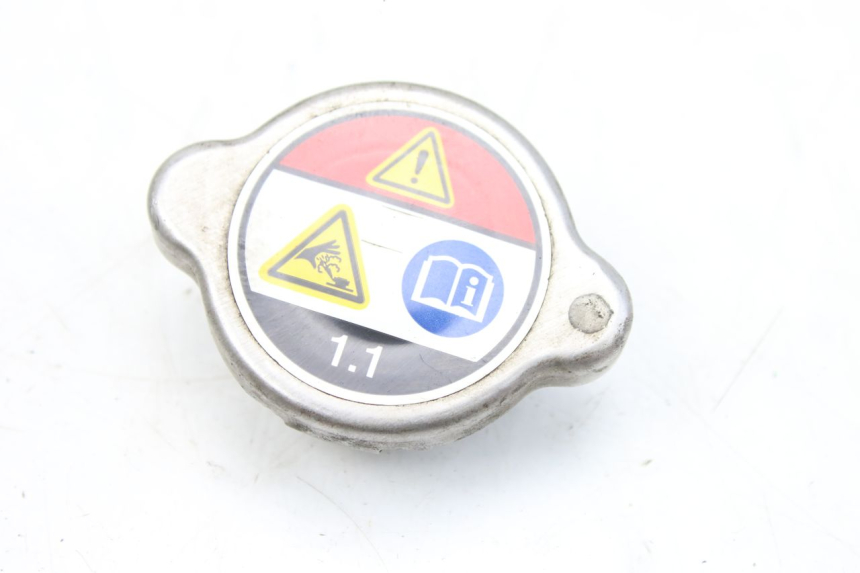 photo de TAMPA DO RADIADOR HONDA FES S-WING SWING ABS 125 (2007 - 2015) - Vista principal
