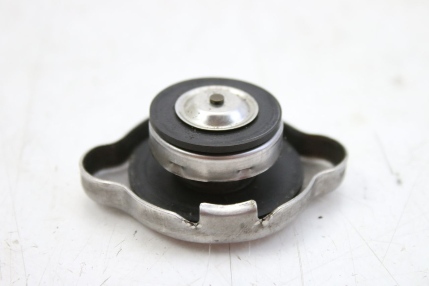 photo de TAMPA DO RADIADOR HONDA FES S-WING SWING ABS 125 (2007 - 2015) - Detalhe da peça