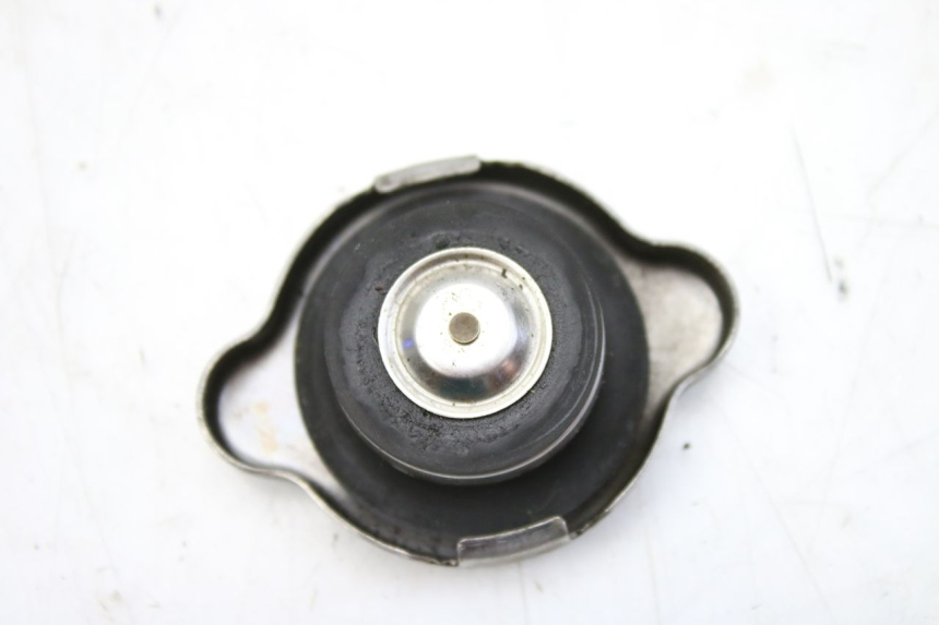 photo de TAMPA DO RADIADOR HONDA FES S-WING SWING ABS 125 (2007 - 2015) - Zoom do estado de desgaste