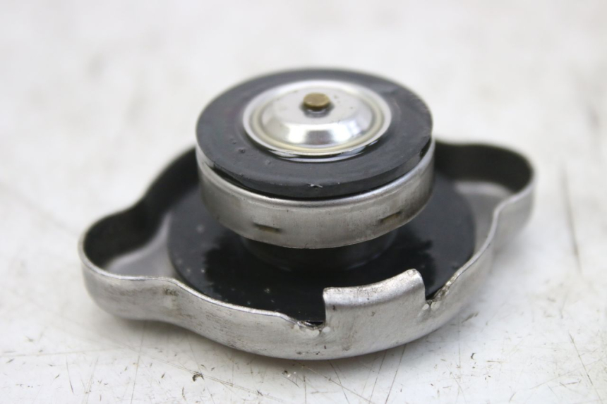 photo de TAMPA DO RADIADOR HONDA FES S-WING SWING ABS 125 (2007 - 2015) - Detalhe da peça