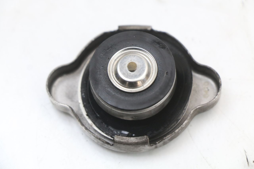 photo de TAMPA DO RADIADOR HONDA FES S-WING SWING ABS 125 (2007 - 2015) - Zoom do estado de desgaste